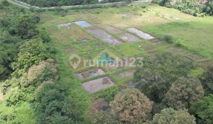Sell Industrial Zone Land in Maja Gabus Serang Banten Sell Industrial Zone Land in Maja Gabus Serang Banten