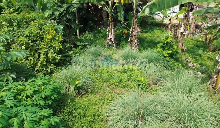 Jual Tanah Murah Zona Komersial Di Dangdang Cisauk Tangerang