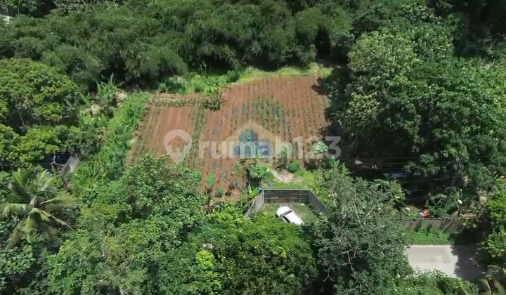 Cheap Commercial Zone Land for Sale in Dangdang, Cisauk, Tangerang