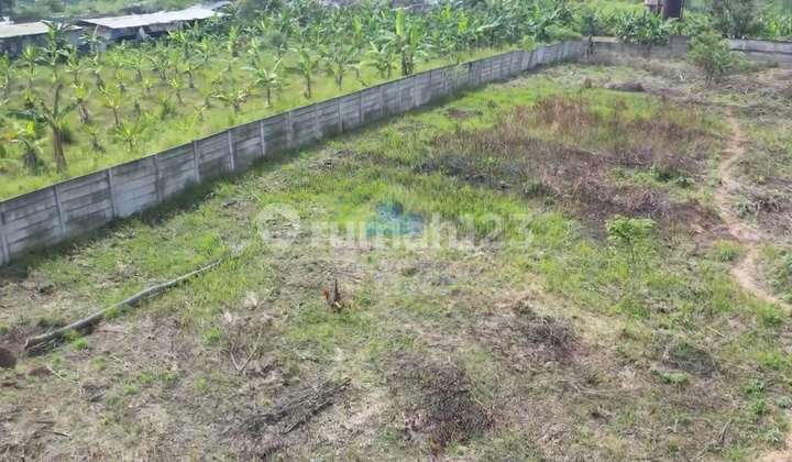 For Sale Industrial Land in Cemplang Jawilan Serang Banten