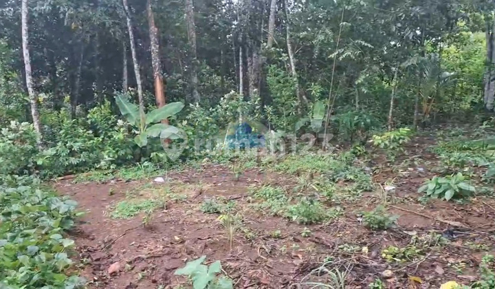 Sell Industrial Land in Cileles, Lebak, Banten