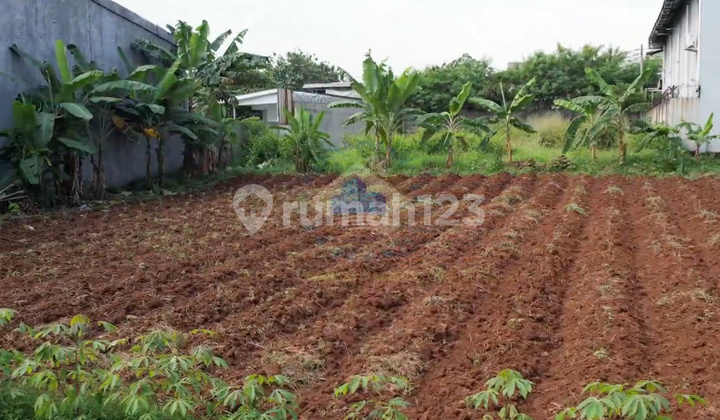 Jual Tanah Industri Padurenan Gunung Sindur Bogor Jual Tanah Industri Padurenan Gunung Sindur Bogor