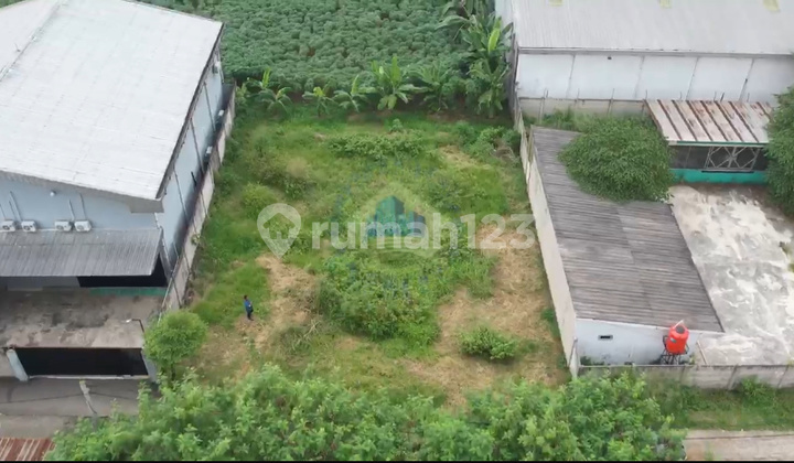 Jual Tanah Industri Di Jl Pedurenan 3 Gunung Sindur Bogor Jual Tanah Industri Di Jl Pedurenan 3 Gunung Sindur Bogor