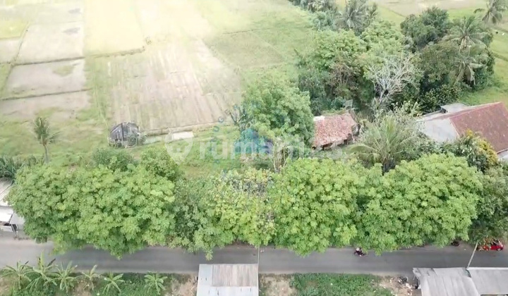 Jual Tanah Murah Zona Komersial di Gembong Balaraja Tangerang