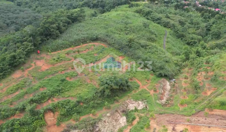 Jual Tanah Perkebunan Murah Di Jasinga Bogor Jual Tanah Perkebunan Murah Di Jasinga Bogor