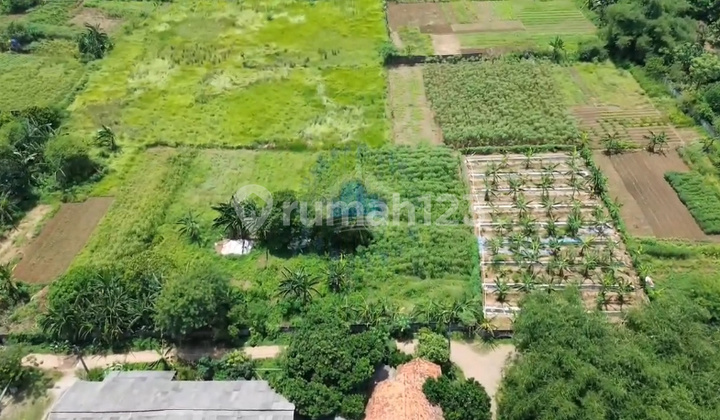 Cheap Commercial Zone Land for Sale in Bojong Nangka, Tangerang Cheap Commercial Zone Land for Sale in Bojong Nangka, Tangerang