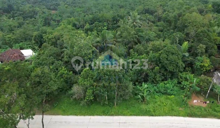 Sell Industrial Land on Jl Raya Sampay Cileles Lebak Banten