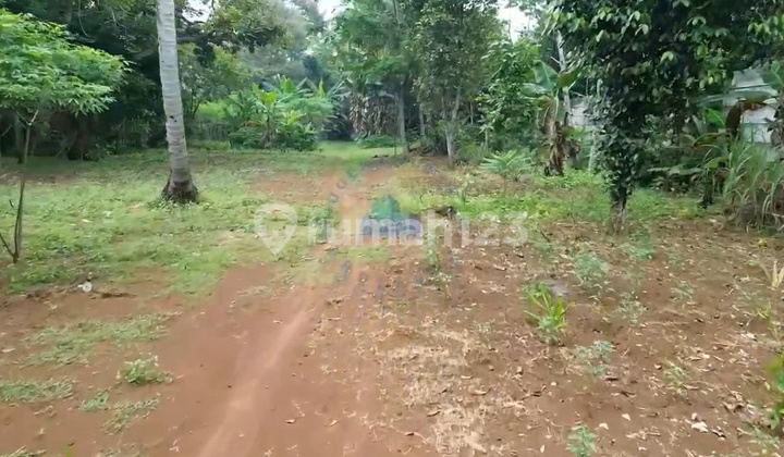 Jual Tanah Zona Konersial Di Dangdang Cisauk Tangerang Jual Tanah Zona Konersial Di Dangdang Cisauk Tangerang