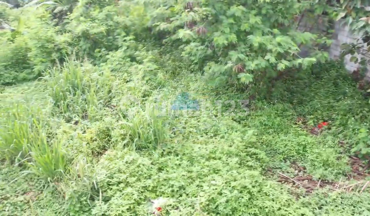 Sell Commercial Zone Land in Margasari Tigaraksa Tangerang