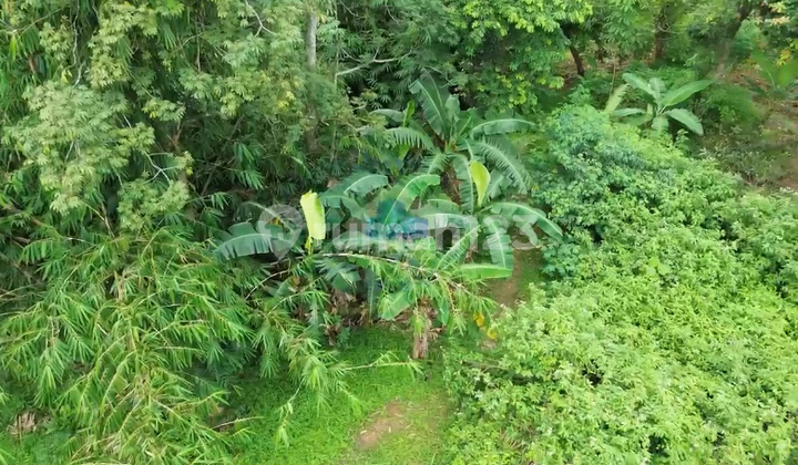 Jual Tanah Murah Zona Industri Jambe Tigaraksa 