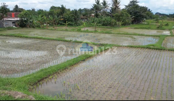 Jual Tanah Industri Di Jayanti Tangerang Banten