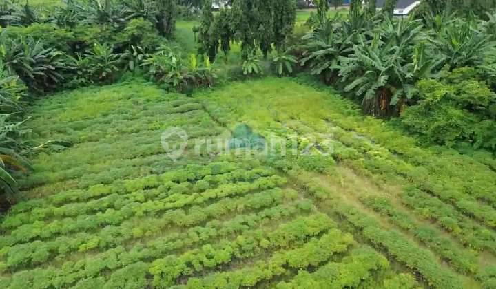 Dijual Tanah Zona Industri Di Gembor Pasar Kemis Tangerang Banten Dijual Tanah Zona Industri Di Gembor Pasar Kemis Tangerang Banten