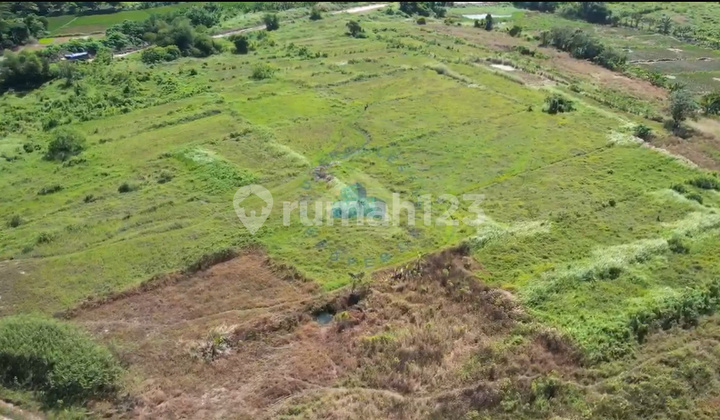 Jual Tanah Zona Industri Di Jl Raya Cikande Rangkasbitung Serang