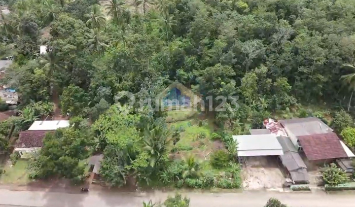 Sell Industrial Land in Cileles, Lebak, Banten