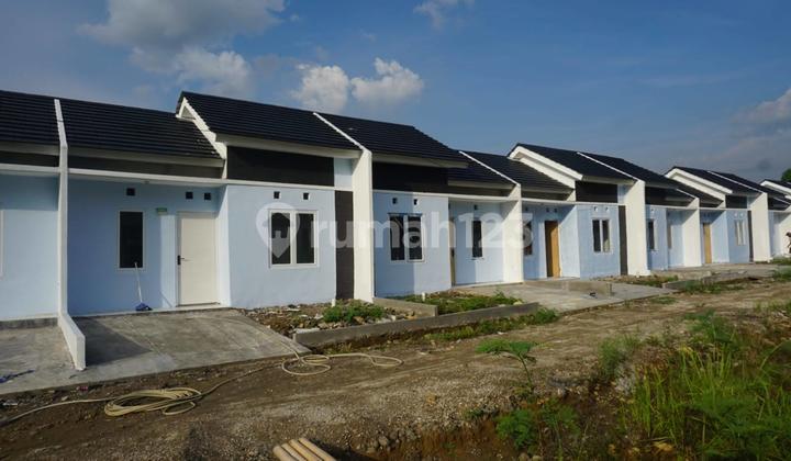 Rumah Kpr Bersubsidi 185 Juta Cicilan 1 ******** Flat Daerah Citeureup - Cibinong Rumah Kpr Bersubsidi 185 Juta Cicilan 1 ******** Flat Daerah Citeureup - Cibinong