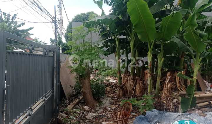 Dijual | Lahan Premier | Kotak | Menteng | Jakarta Pusat Dijual | Lahan Premier | Kotak | Menteng | Jakarta Pusat