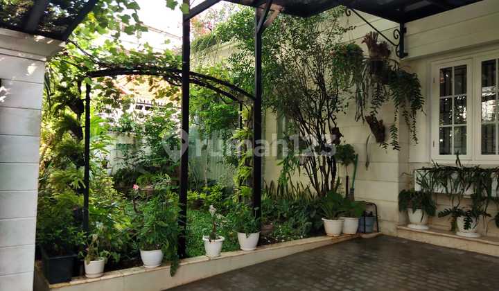 Dijual | Rumah Mewah | Renovasi | Private Pool | Menteng | Jakarta Pusat