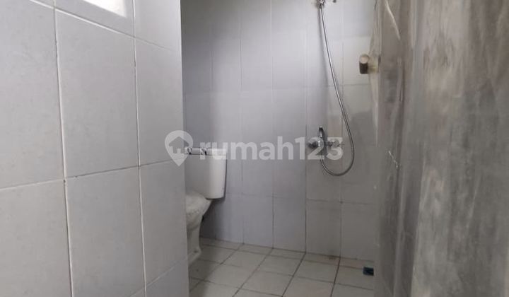 For Sale Green Ara House - Balsa Cluster 2