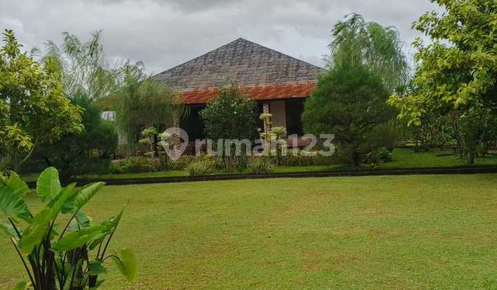 Vila/Kavling/Rumah Lt10000m, Cikupa, Harga@30 Milyard(Nego)
