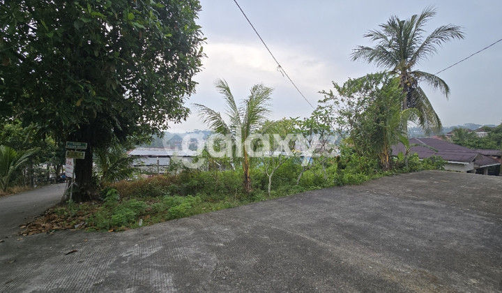 Dijual cepat tanah potensial untuk hunian juga untuk berkebun Dijual cepat tanah potensial untuk hunian juga untuk berkebun