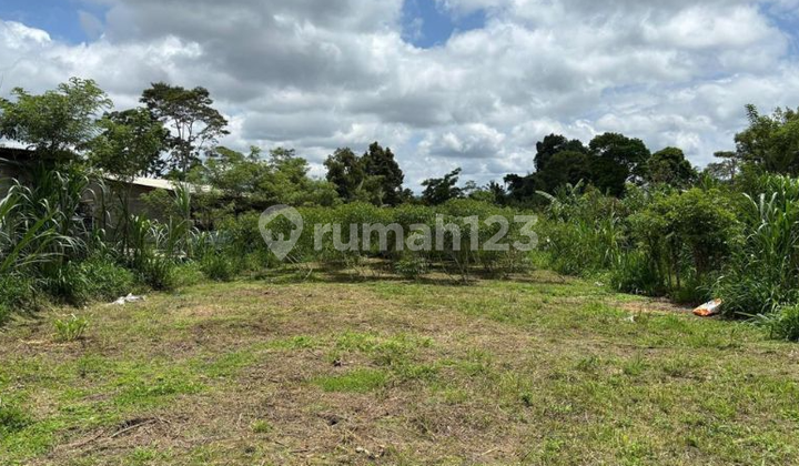 Village Plot Land Taro Ubud Gianyar