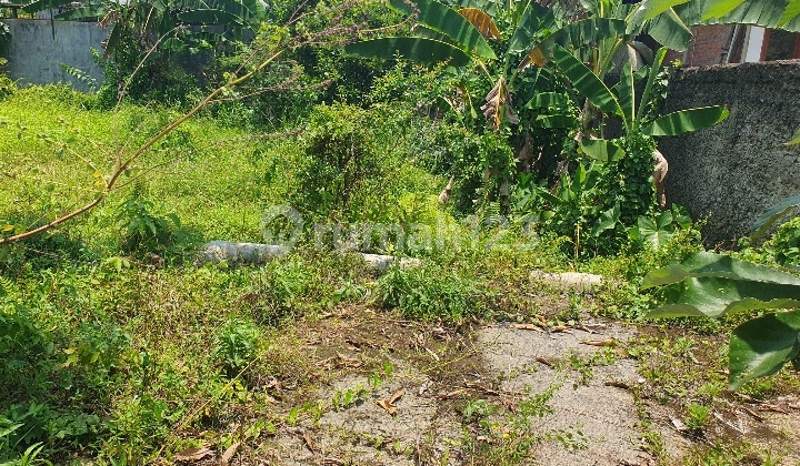 Tanah Padat Lokasi Strategis Shm Di Ciomas Bogor