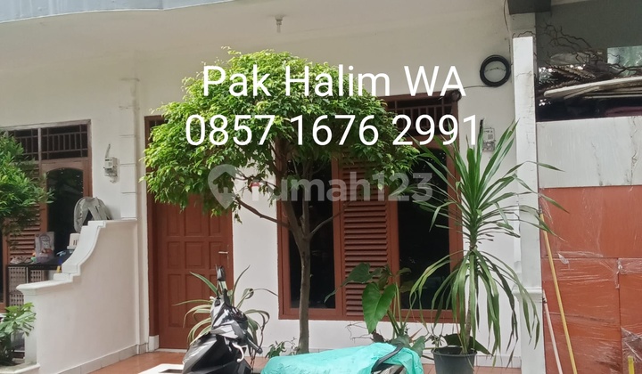 Disewakan Rumah Murah + Garasi di Bintaro Dkt Pintu Toll Jaksel Disewakan Rumah Murah + Garasi di Bintaro Dkt Pintu Toll Jaksel