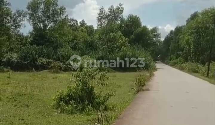 Cheap AJB Land Next to Tigaraksa Station Tangerang