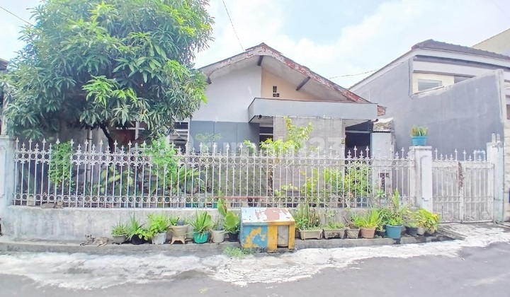 Rumah Hitung Tanah Area Candi Mendut Suhat Cocok Utk Kost