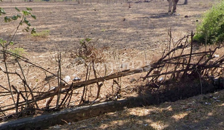 Jual Cepat Murah, TANAH di SUMBAWA, NTB, Lokasi Strategis nol Jalan Raya Besar