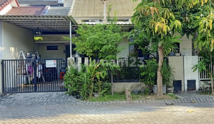  Rumah PANTAI MENTARI, Cluster Ocean Park, 1 Lantai Lebar 8, Murah 