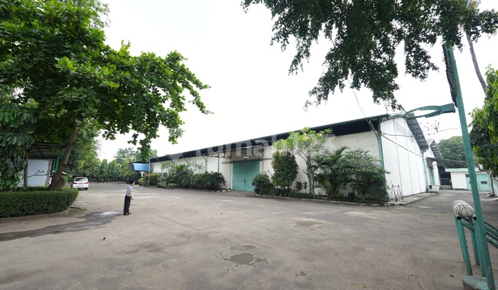 Di Jual Lahan Pabrik di Jalan Raya Setu Cibitung Bekasi Di Jual Lahan Pabrik di Jalan Raya Setu Cibitung Bekasi