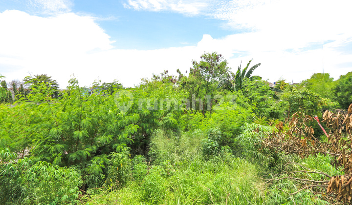 Tanah 1500M2 di Serua Indah Ciputat Tangsel, Akses Mudah Bintaro Tanah 1500M2 di Serua Indah Ciputat Tangsel, Akses Mudah Bintaro