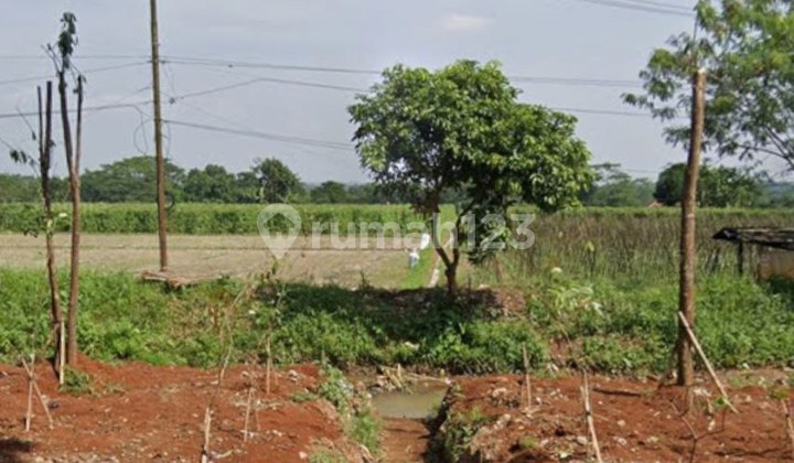 Dijual Cepat Tanah Mainroad Dawuan Subang