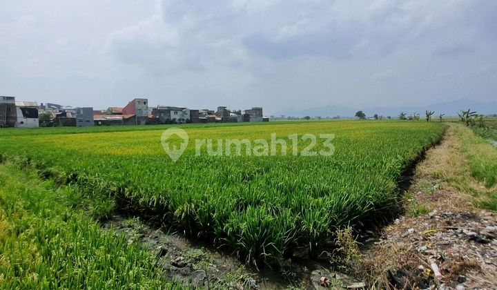 Dijual Lahan Sawah Samping G Land Ciwastra Dijual Lahan Sawah Samping G Land Ciwastra
