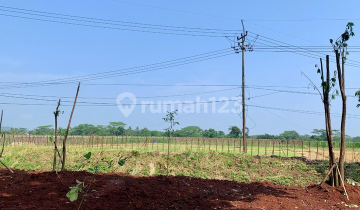 Dijual Cepat Tanah Mainroad Dawuan Subang