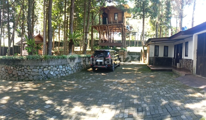 For Sale: Serene Villa, No Odd-Even Policy, Mountain View and Close to Toll Road For Sale: Serene Villa, No Odd-Even Policy, Mountain View and Close to Toll Road