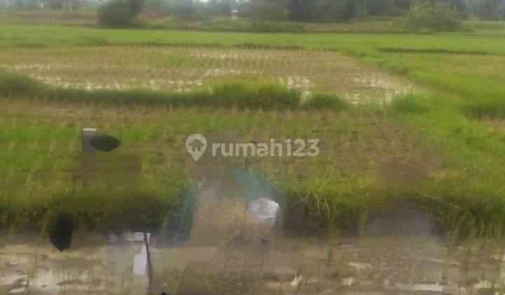 Di Jual Tanah Komersil Zona Pergudangan  2