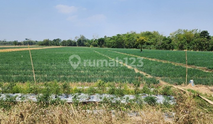 Cheapest Large Land in Kertajati Majalengka Area