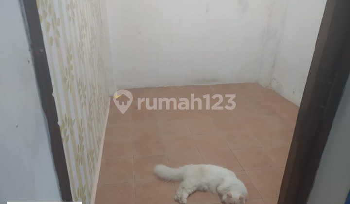 Rumah Jl.Aster (LT/LB 51/100 m) 2