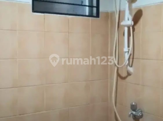 Palm Mansion Apartment (2 Bedrooms) 2