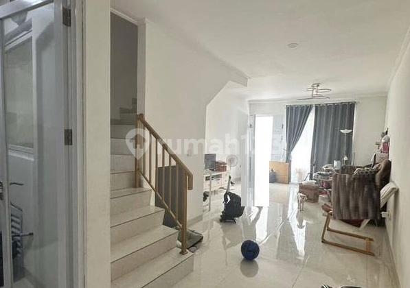 Palm Blossom House (Size 4x17 m)