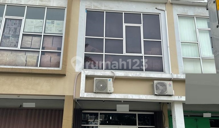 Ruko Palm Crown (Ukuran 4x17 m)