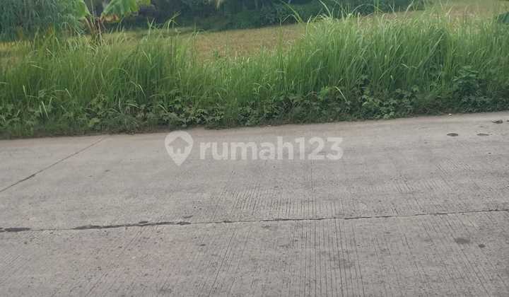 Land for Sale in Rangkasbitung 10.0 ha with SHM Land for Sale in Rangkasbitung 10.0 ha with SHM