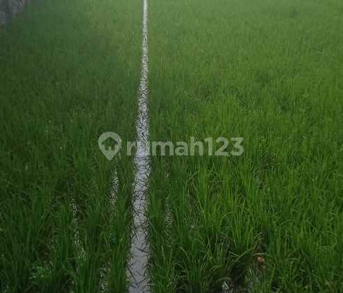 Land 3280 m2 Sukoharjo, Sukoharjo