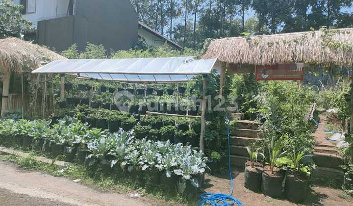 Tanah Murah Siap Bangun Luas 360 M2 Hadap Barat Shm Di Setra Duta