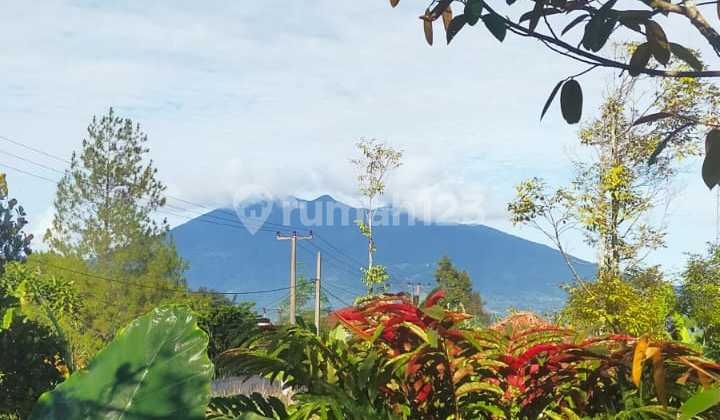 Fertile Land With Cool & Serene Ambiance and Mount Salak View Fertile Land With Cool & Serene Ambiance and Mount Salak View