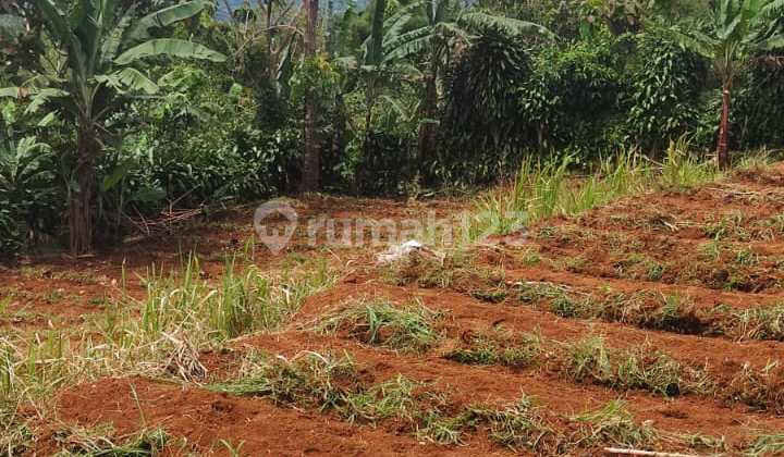 Strategic Land with Unobstructed View of Mount Salak Strategic Land with Unobstructed View of Mount Salak