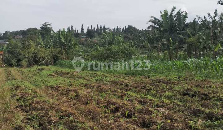 Tanah Di Caringin Dengan View Gunung Dan Nuansa Pedesaan
