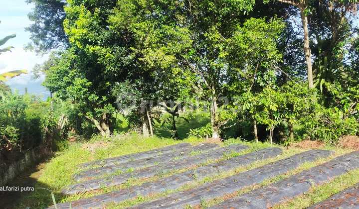 Tanah Di Caringin Dengan View Gunung Gede Pangrango